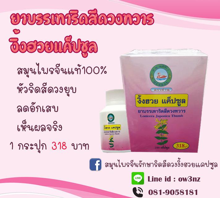 ยาสมุนไพรบรรเทาริดสีดวงทวาร งิ้งฮวยแคปซูล