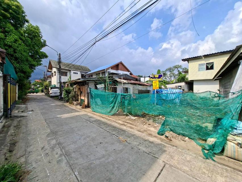ขายที่ดินเปล่า ซอยด่านสำโรง50/39 ถนนสุขุมวิท113 2