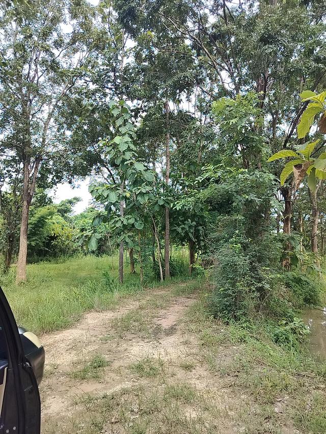 ที่ดินติดถนนสี่เลน ทางหลวง 227 20