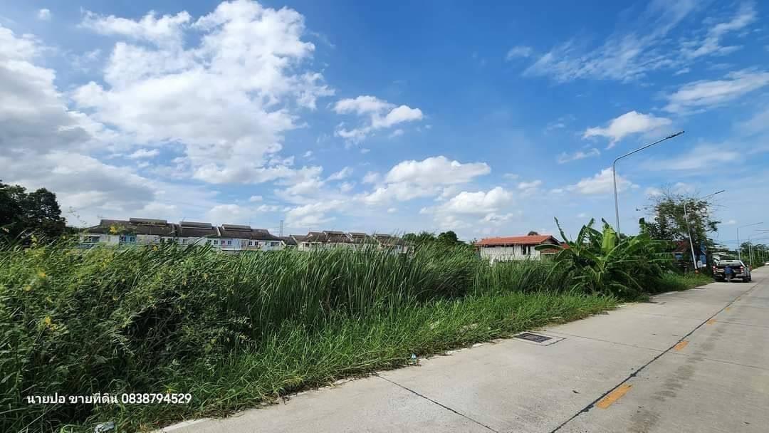 Vายด่วนที่ดินคลองสอง  363 ตารางวา ติดถนนคอนกรีตสาธารณะ  ซอยแก้วบาง อ.คลองหลวง จ.ปทุมธานี 10