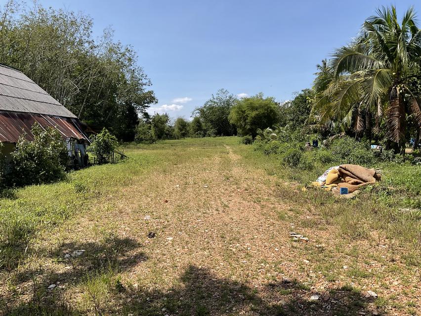 1 ไร่ 2 งาน 11 ตารางวา หน้าติดถนนสายหลัก หลังติดคลอง (บ้านหาร) 2