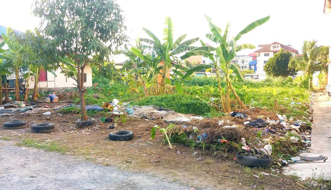 ขายที่ดิน 103 ตรว. เลียบด่วนรามอินทรา ถ.อินทราภรณ์ ซอยพระยาประเสริฐ (บดินเดชา) เขตวังทองหลาง กรุงเทพๆ 3