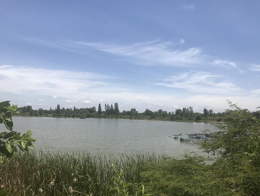 ขายที่ดินสวย เนื่อที่ 14ไร่ 3งาน22ตารางวาอ.เมือง จ.ขอนแก่น 5