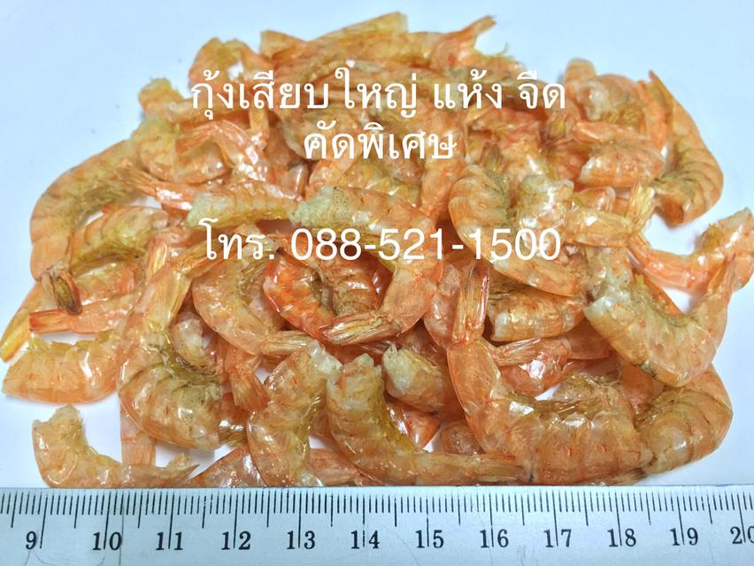 ขายส่ง กุ้งเสียบ กุ้งแก้ว กุ้งแห้งชนิดต่างๆ 2