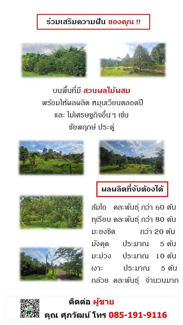 ขายที่ 30 ไร่ แปลงใหญ่จาก ถนน - แม่น้ำนครนายก ปลอดภาระ พร้อมโอน ใกล้แหล่งท่องเที่ยว ต.หินตั้ง จ.นครนายก 9