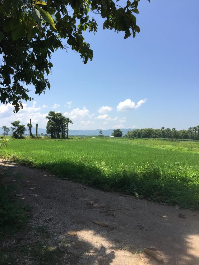 ขายที่ดิน1ไร่3งาน 58 ตรว บ้านหลุก ตำบลนาครัว อำเภอแม่ทะ จังหวัดลำปาง 4