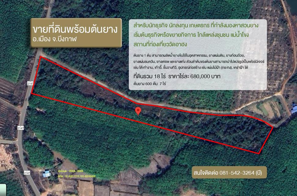 ขายที่ดินสวนยาง