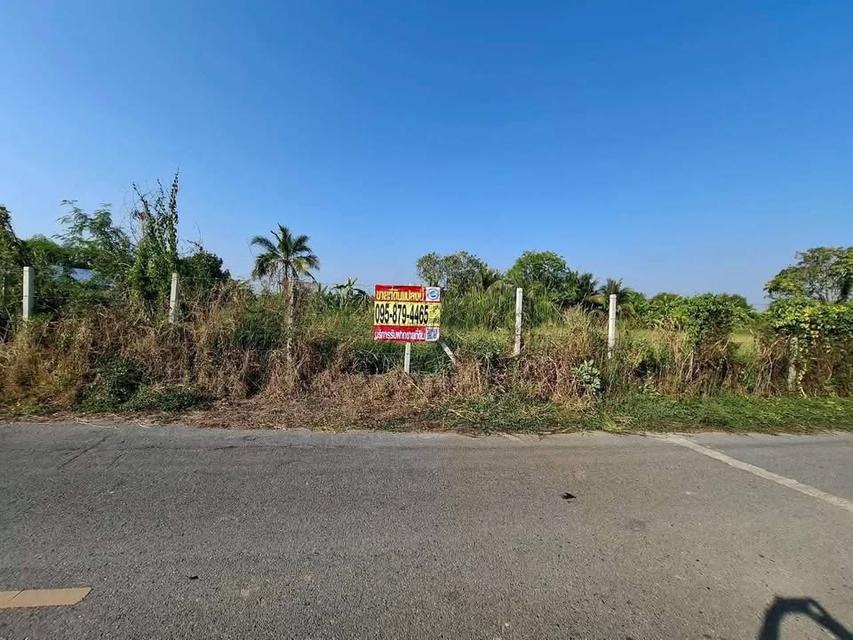 Vายด่วนที่ดิน 2ไร่ ) ( ติดถนนลาดยางสารณะ ซอยบึงบอน 13 หนองเสือ ปทุมธานี 2