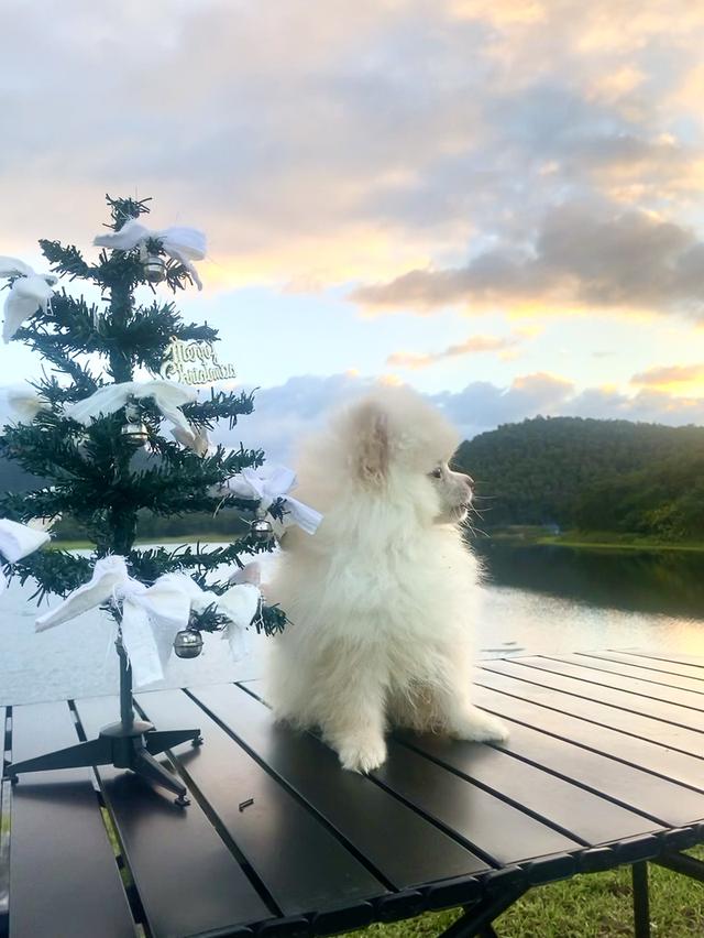 ปอม ชายจริงหญิงแท้ น่ารักๆ