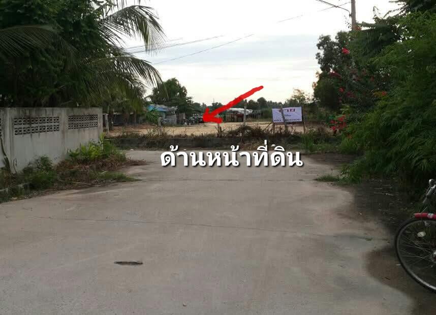ขาบที่ดืนบางละมุง แปลงสวย 5