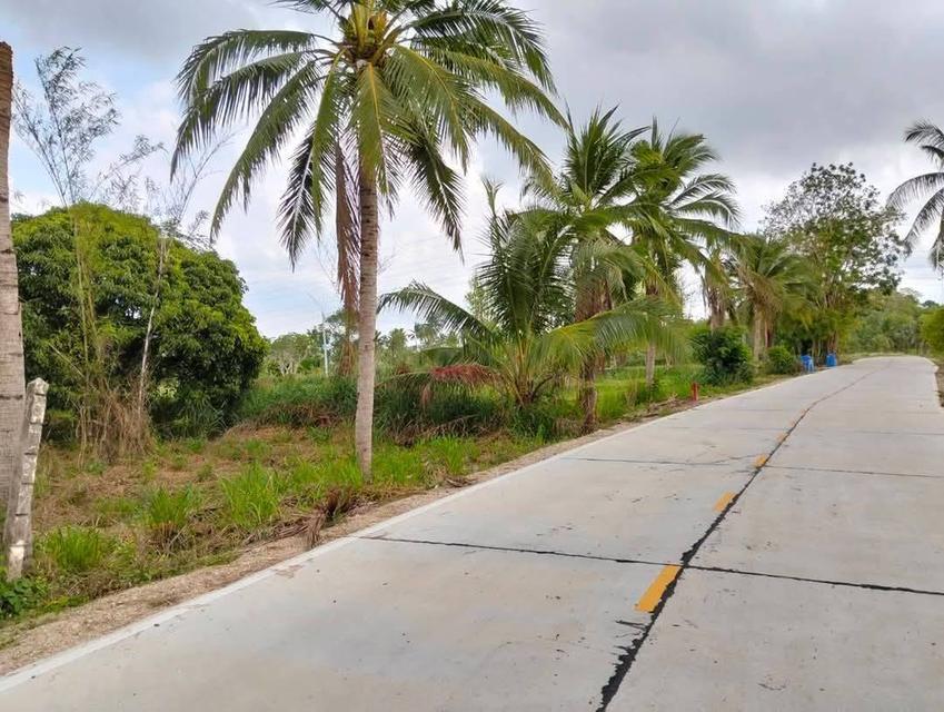 ขายที่ดิน 4 ไร่ บางพระ ใกล้สำนักงานที่ดินศรีราชา 2