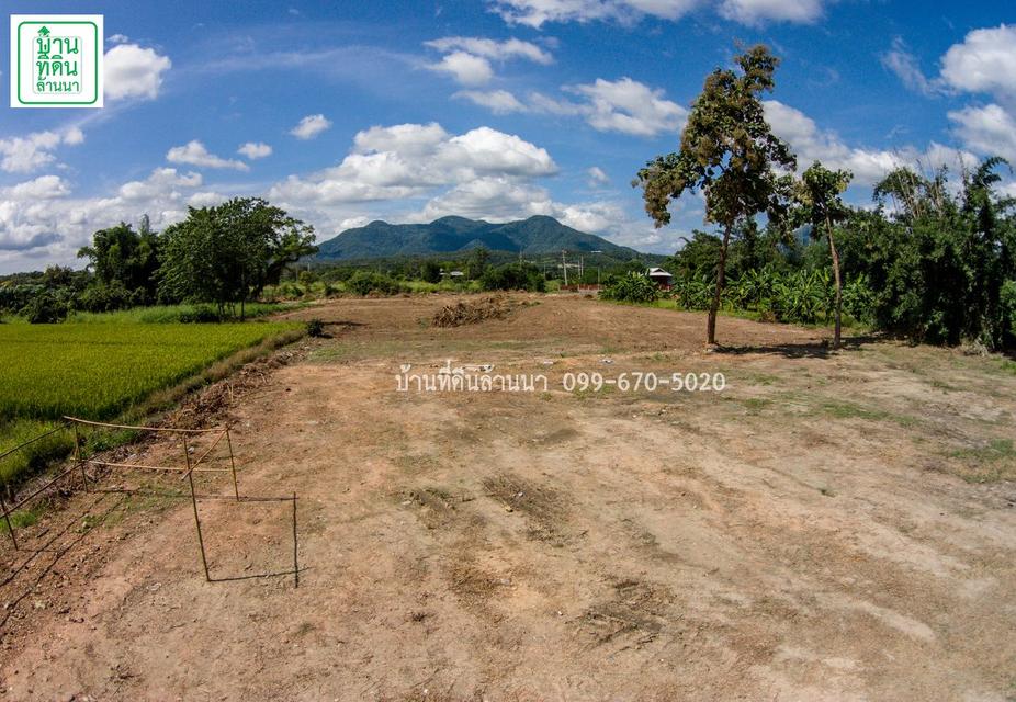 ที่ดิน 3 ไร่หน้าติดถนน หลังติดแม่น้ำวาง วิวภูเขา 9