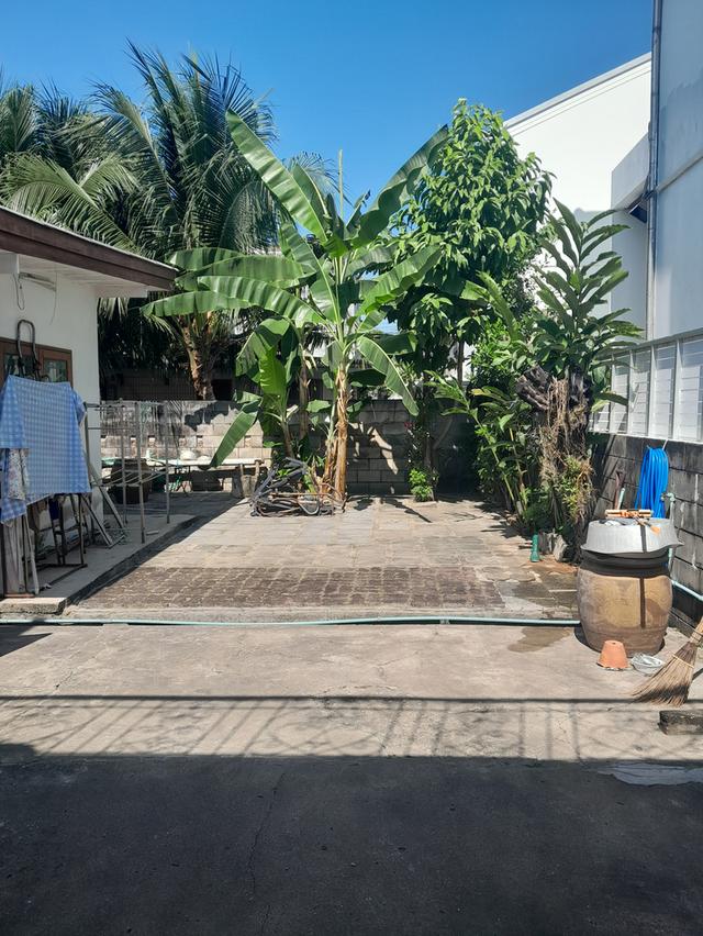 บ้าน เดี่ยว เนื้อที่กว้าง 100 ตร.วา ทำเล ศักยภาพสูง 1