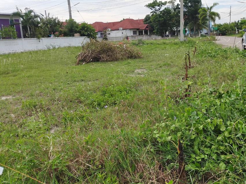 ที่ดินจัดสรร 136 ว เจ้าสำราญซีวิว ห่างหาดเจ้าสำราญ 500 เมตร 2