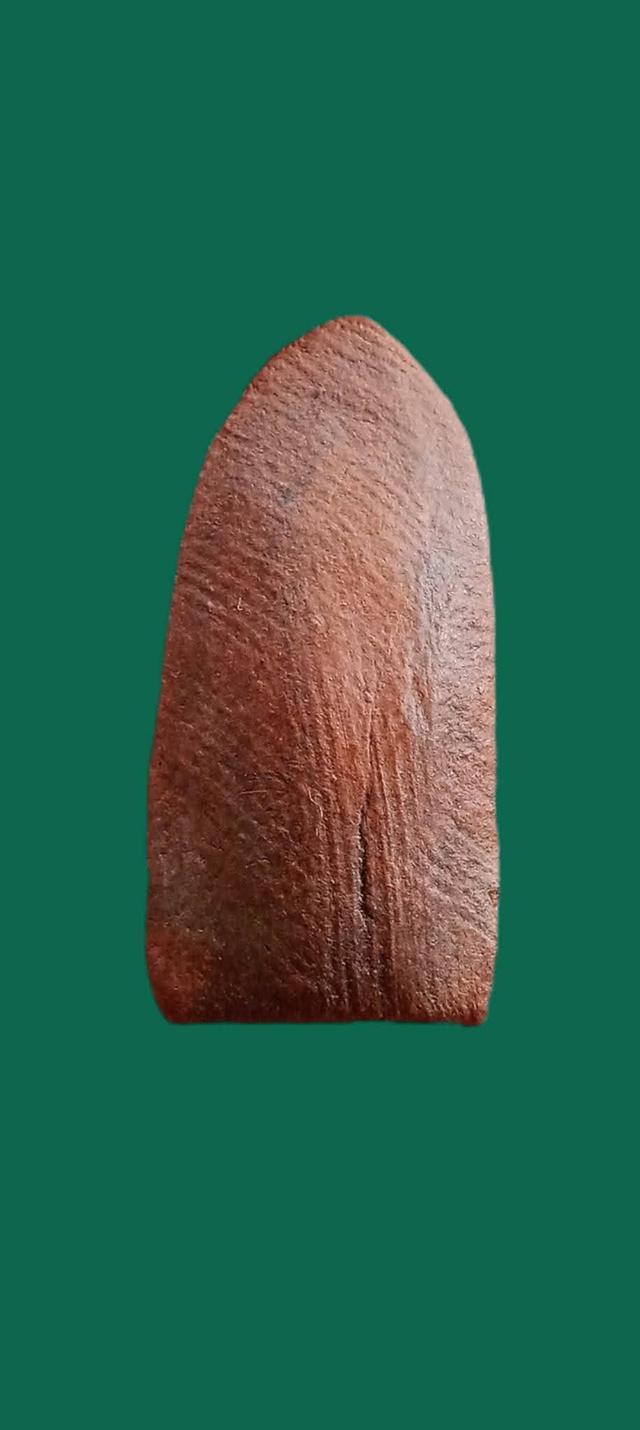 พระรอดกรุต้นลำใย2470สภาพสวย 2