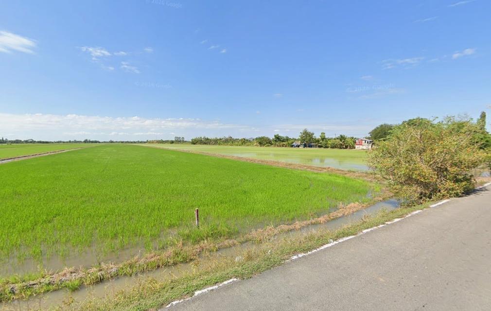 ที่ดิน ขายที่ดินหนองจอก 81-1-8.4 ไร่ (แบ่งขายได้ โฉนดละ 40 ไร่) ใกล้วัดใหม่เจริญราษฎร์ 1