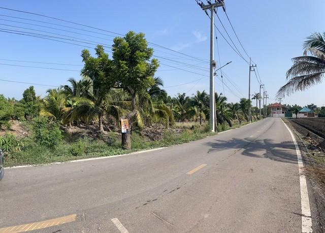 ที่ดิน ที่ดิน ต.คลองมะเดื่อ อ.กระทุ่มแบน จ.สมุทรสาคร ใหญ่ 95 SQ.WA 2 งาน 17 Rai 63800000 THAI BAHT ใกล้กับ ห่างถนนสายใยร 5