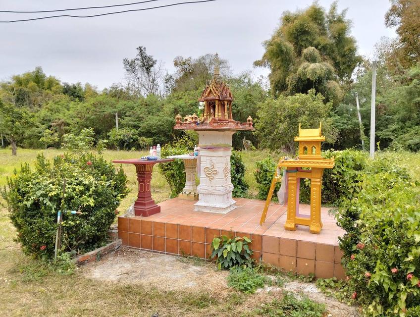 ขายที่ดินตั้งแต่ 1-10ไร่ ที่ ต.สันติสุข อ.พาน จ.เชียงราน 2