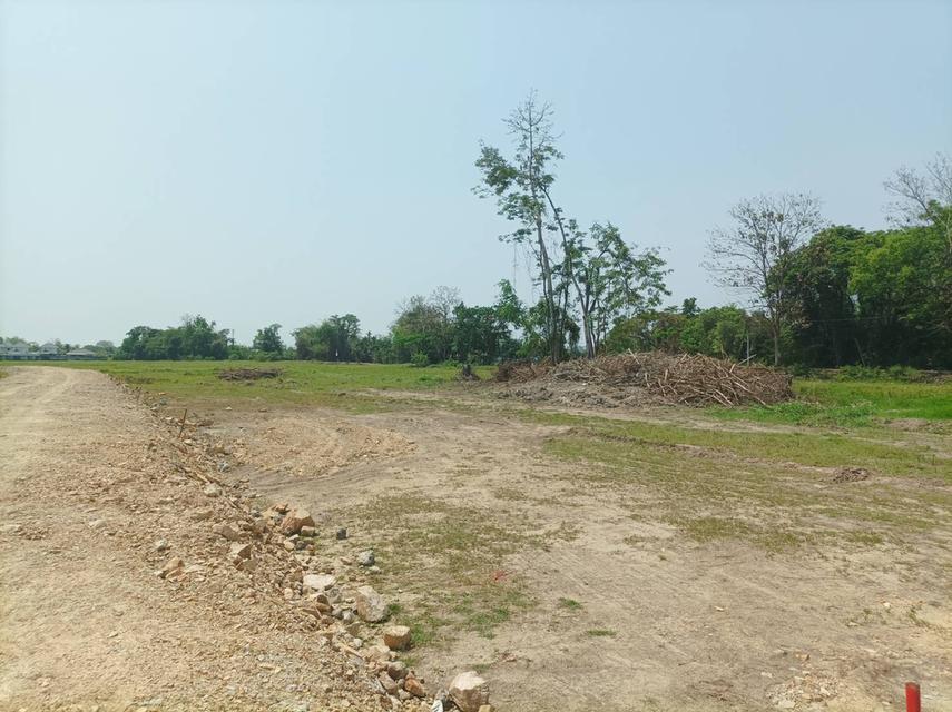 ขายที่ดิน 12,900บาท/ตร.ว. ต.สันปูเลย อ.ดอยสะเก็ด จ.เชียงใหม่ 2