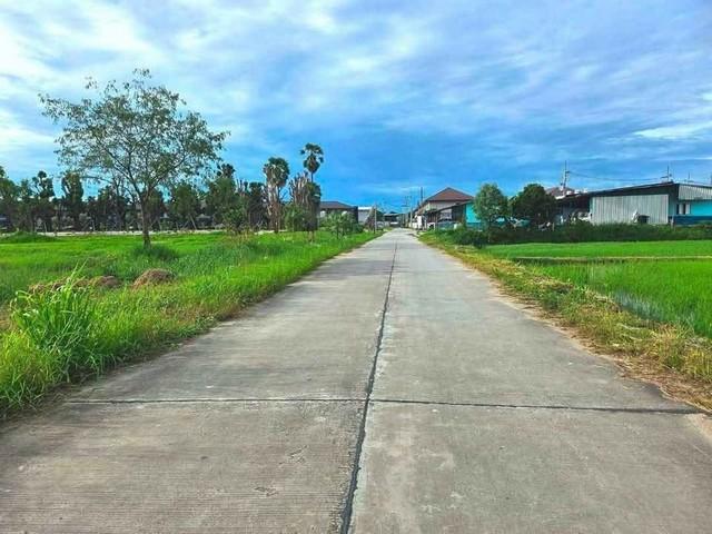 ขายที่ดินพานทองราคาถูก หนองหงษ์ พานทอง ชลบุรี บนเนื้อที่ 10 ไร่ ใกล้นิคมอมตะนคร 1