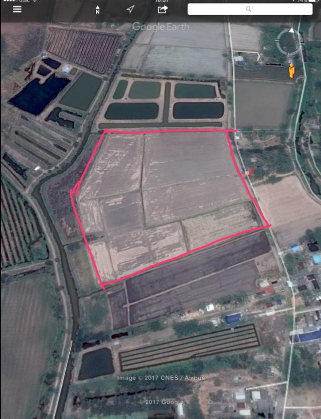 ขายที่ครุฑแดง สระบุรี 50 ไร่ หนองหมู วิหาารแดง 