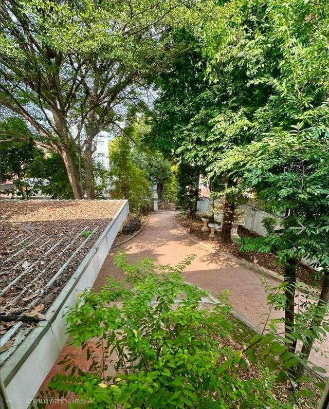 ให้เช่าบ้านเดี่ยว 2 ชั้น เอกมัย สุขุมวิท บ้านสวยบรรยากาศร่มรื่น ใกล้ BTS เอกมัย (N.1903) 8