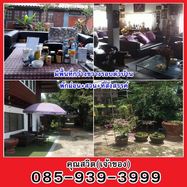 ขายบ้านและที่ดิน ต.ริมกก จ.เชียงราย(เจ้าของขายเอง) 4