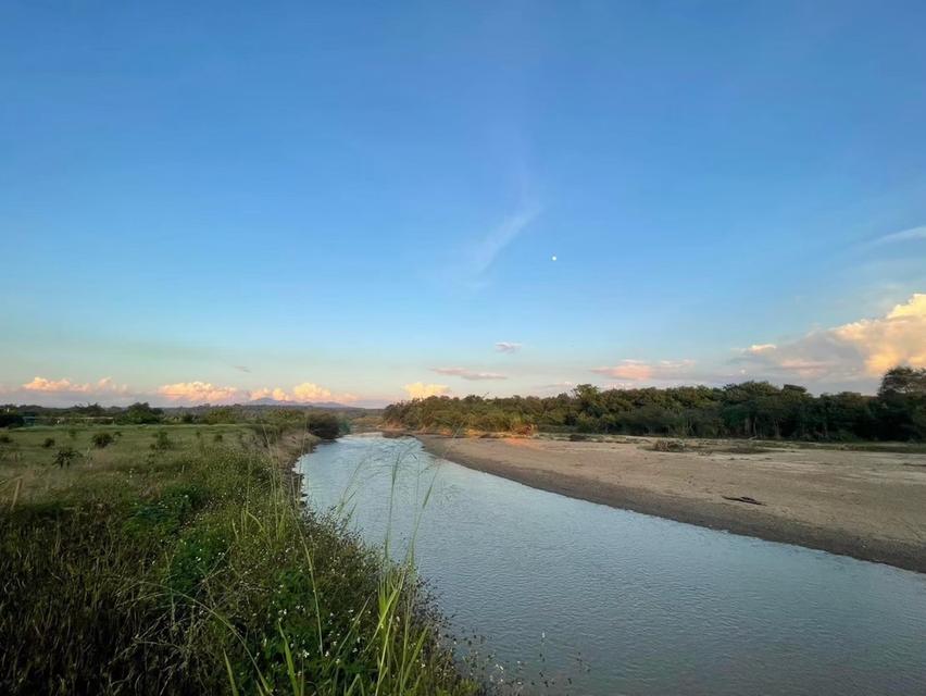 ขายที่ดินถมแล้ว 20 ไร่ 3 งาน 32.4 ตร.ว. เป็นสวนเกษตร (ไม่เสียภาษีที่ดิน) ติดแม่น้ำแตง อ.แม่แตง จ.เชียงใหม่ 2