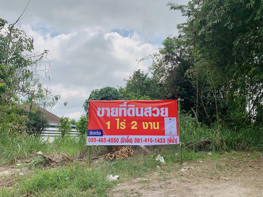 ที่ดินสวยแยกหนองบอน นิคมพัฒนาระยอง ราคามิตรภาพพร้อมโอน 1