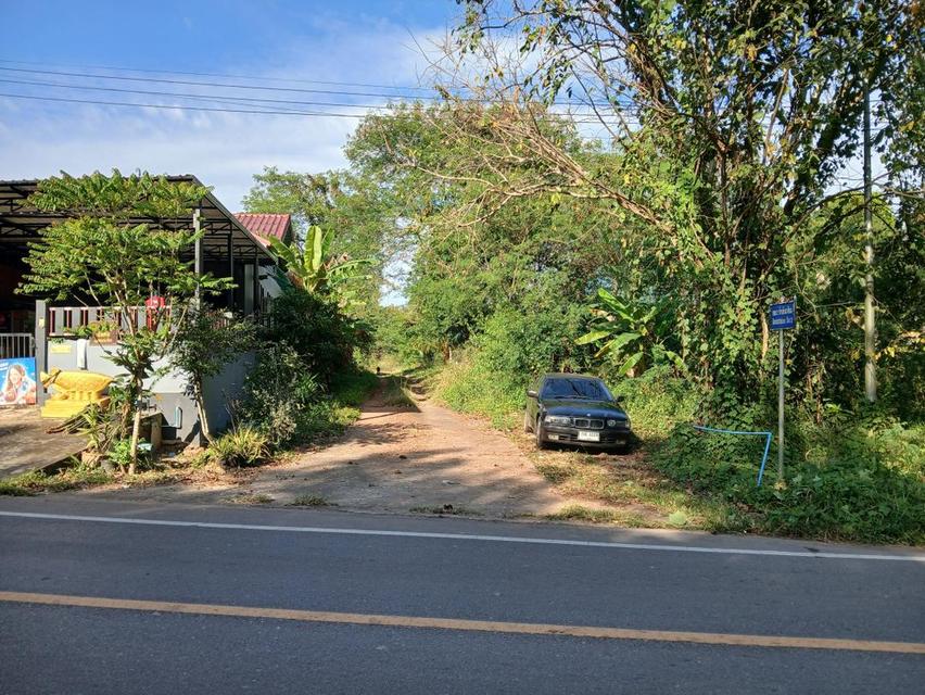 ขายที่ดินเปล่าโฉนด 1 งาน 14 ตร.ว. อยู่ในชุมชน ต.นาชะอัง อ.เมืองชุมพร ห่างศาลากลางจังหวัดเพียง 3 กม. ที่เนินปลอดภัยจากน้ำท่วม เจ้าของเองครับ 5