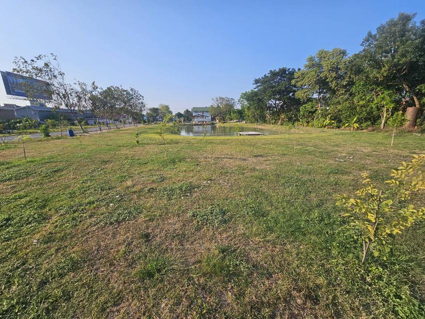 ให้เช่าที่ดินเปล่า นนทบุรี ติดถนนนครอินทร์ เชิงสะพานพระราม 5 ถนนทางเข้ากว้าง 6 เมตร 5