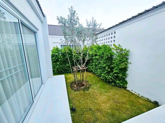 แก่งคอย สระบุรี ให้เช่าบ้านเดี่ยว 1 ชั้น 3นอน 3น้ำ 54 ตร.วา. มีสวนกลาง สองคอน เขาพระพุทธบาทน้อย 1.1 กม. 8