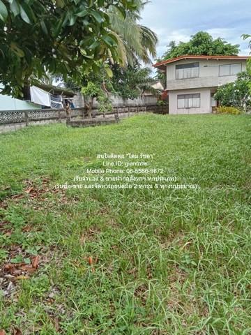 บ้าน ขายบ้านปูนกึ่งไม้ 2 ชั้น 5 น 3 น้ำ (ทรงคลาสสิค) พร้อมพื้นที่สวน 351 ตร.ว. @ตลาดท่าศาลา จ.นครศรีธรรมราช ใกล้กับ ตลาด 7