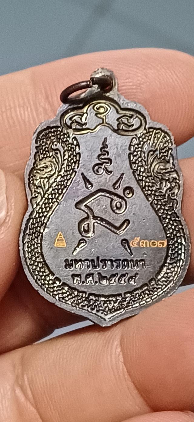 พ่อท่านเขียว วัดห้วยเงาะ รุ่นมหาปรารถนา ปี ๒๕๕๔ เหรียญขี่คอ เนื้อทองแดงรมดำ 6