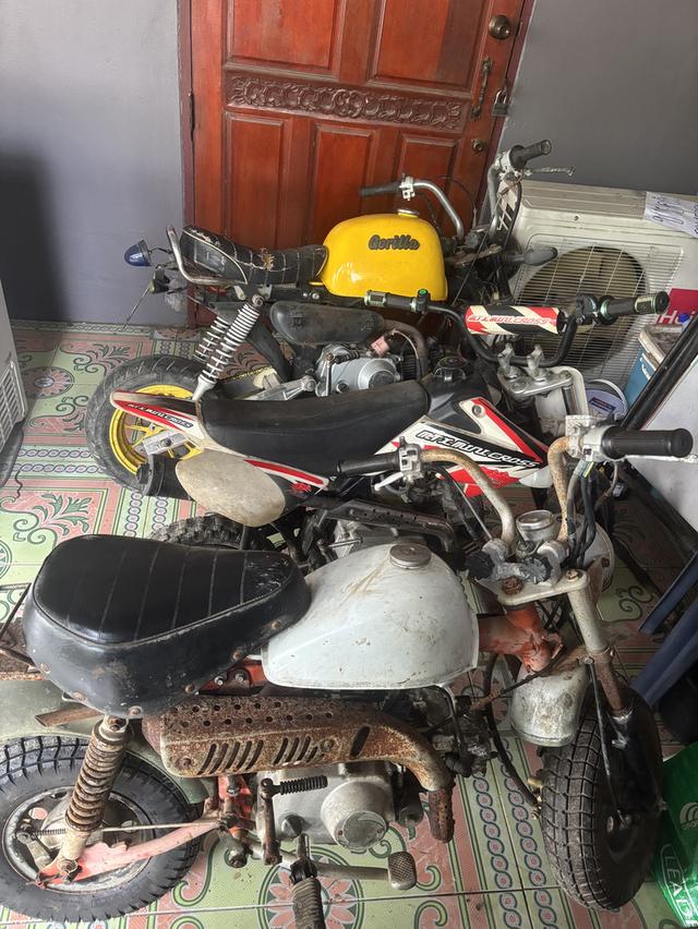 รถเล็ก 3คัน 25000บาท