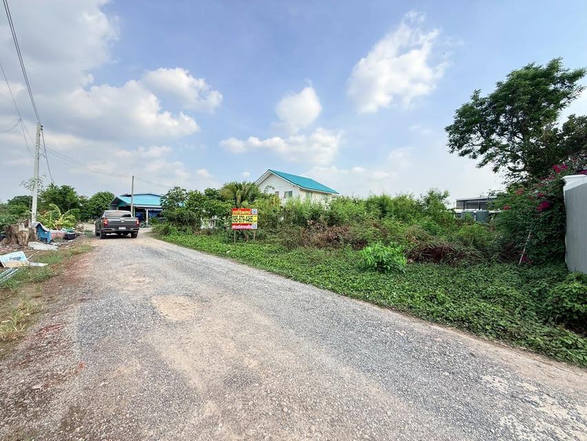 ขายด่วนที่ดินใกล้ อบต.บางหลวง 144 ตรว ติดถนนหินคลุก ต.บางหลวง เมืองปทุมธานี 1