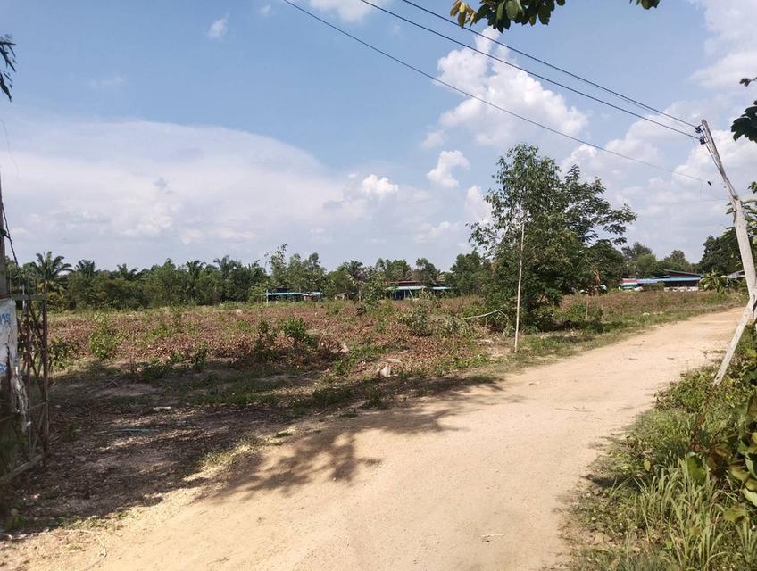 ขายที่ดินเมืองสระแก้ว 3 ไร่ หลังTOYOTAสระแก้ว ใกล้ถนนสุวรรณศร33-800เมตร จ.สระแก้ว 5