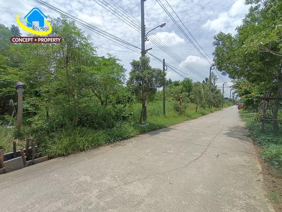 ขายที่ดิน 2 ไร่ ซอยนิลยาธร ถนนประชาพัฒนา แขวงทับยาว เขตลาดกระบัง 1