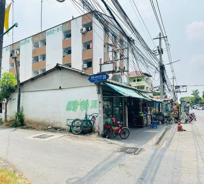 ที่ดินเปช่าทำเลทอง ย่านคลอง 1 รังสิต สะพานแดง