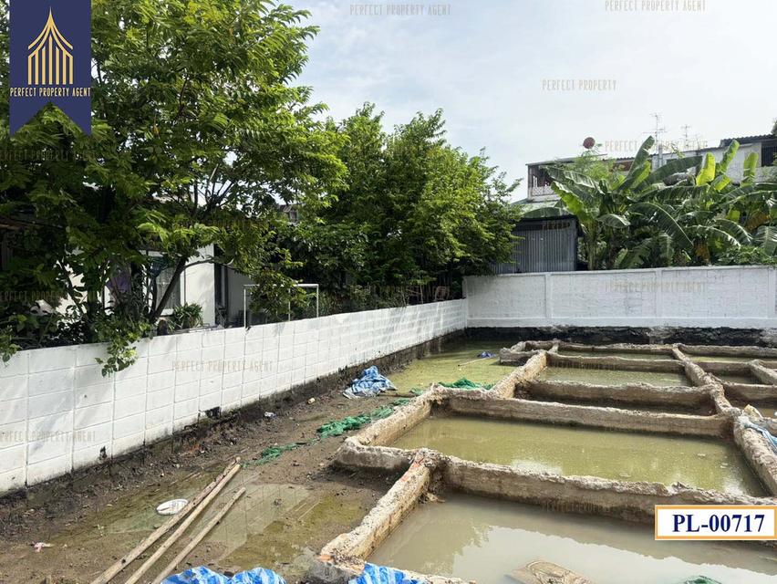 ขาย ที่ดิน นวมินทร์ บึงกุ่ม ทิศเหนือ เหมาะสร้างบ้านพักอาศัย 9