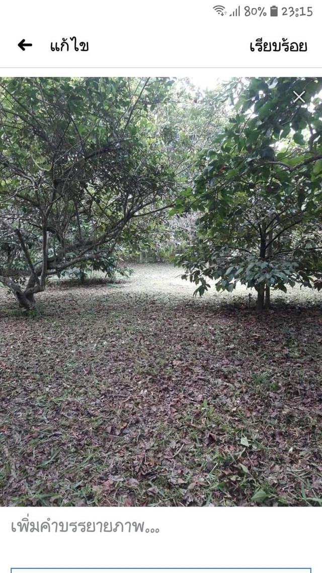 ที่สวนพร้อมอ.เมือง จ.ระยอง 10