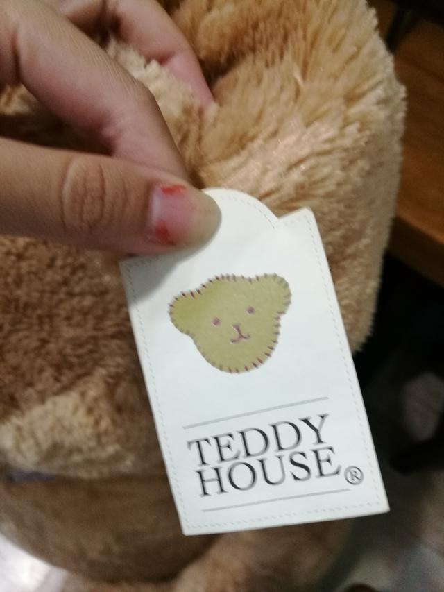 ส่งต่อพี่หมีตัวใหญ่ ของTeddy house ไม่มีที่วาง ใหม่มากห่อคลุมกันฝุ่นไว้ตลอด 2