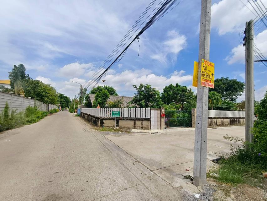 ขายด่วนที่ดินถนนติวานนท์ 50 ตรว ติดถนนคอนกรีต ถมแล้ว บางพูด ปากเกร็ด นนทบุรี 3