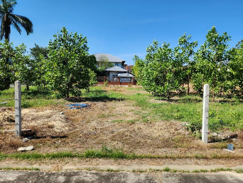 ที่ดิน เปล่าบนถนนพุทธมณทลสาย 1 2