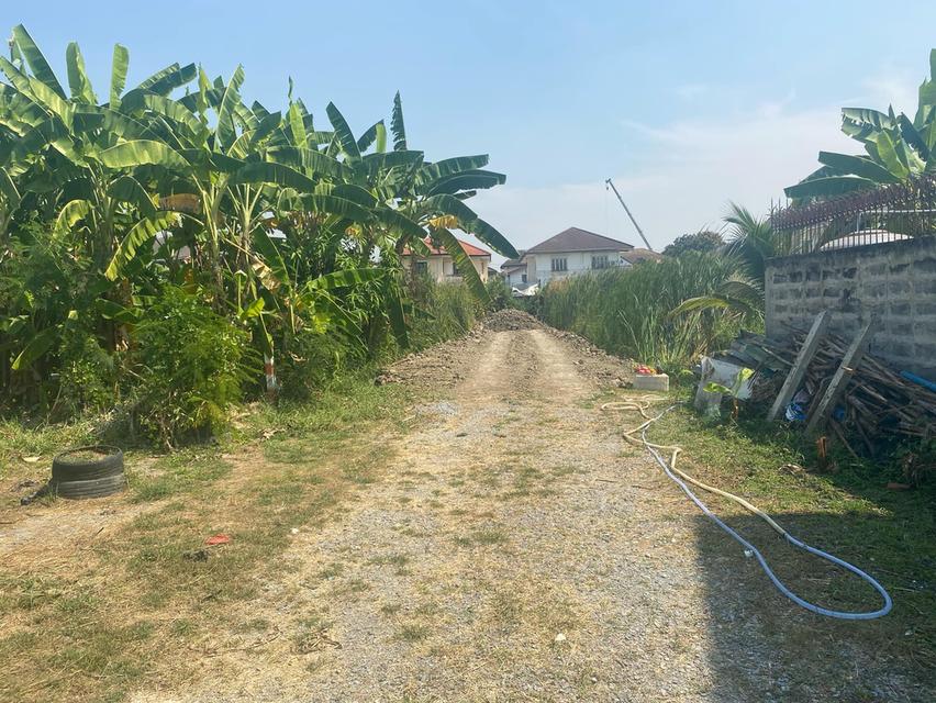 ขายที่ดินทำเลดีติดหมู่บ้านจัดสรร. หมู่บ้านเพรชเกษม3 ซอย27เหมาะสำหรับทำหมู่บ้านจัดสรรเนื้อที่เกือบ4ไร่. ขายตารางวาละ26, 000บาท 3