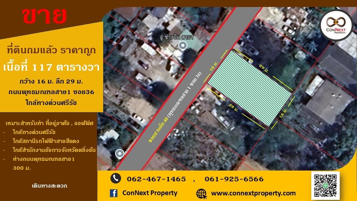 ที่ดินเปล่า 1