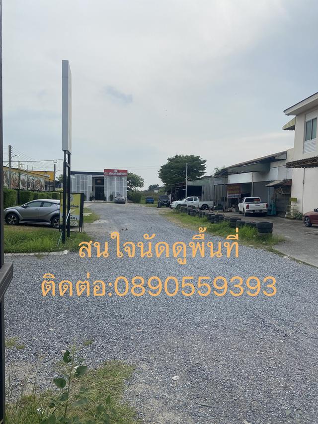 ขายที่ดินติดถนนใหญ่ ทำเลสวย  5