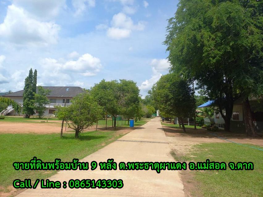 ขายที่ดินพร้อมอาคาร 9 หลัง เนื้อที่ 17-1-72 ไร่ (ฮวงจุ้ยดี หน้าติดน้ำ หลังพิงเขา) ตำบลพระธาตุผาแดง อำเภอแม่สอด จังหวัดตาก 1