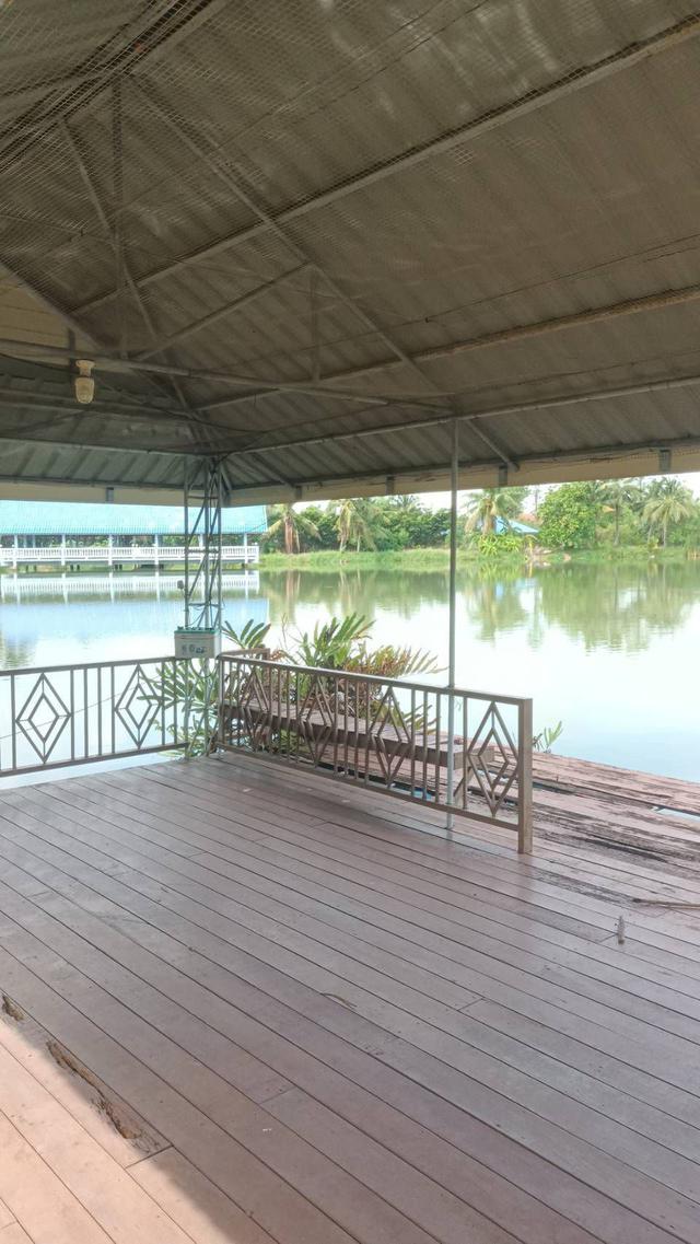 รูป ที่ดิน นครปฐม  สวย พร้อม สิ่งปลูกสร้าง บ้านทรงไทย บ้านกลางน้ำ แพริมน้ำ สวนผลไม้ บ่อปลา ขนาดใหญ่ โทร 0814253207 2