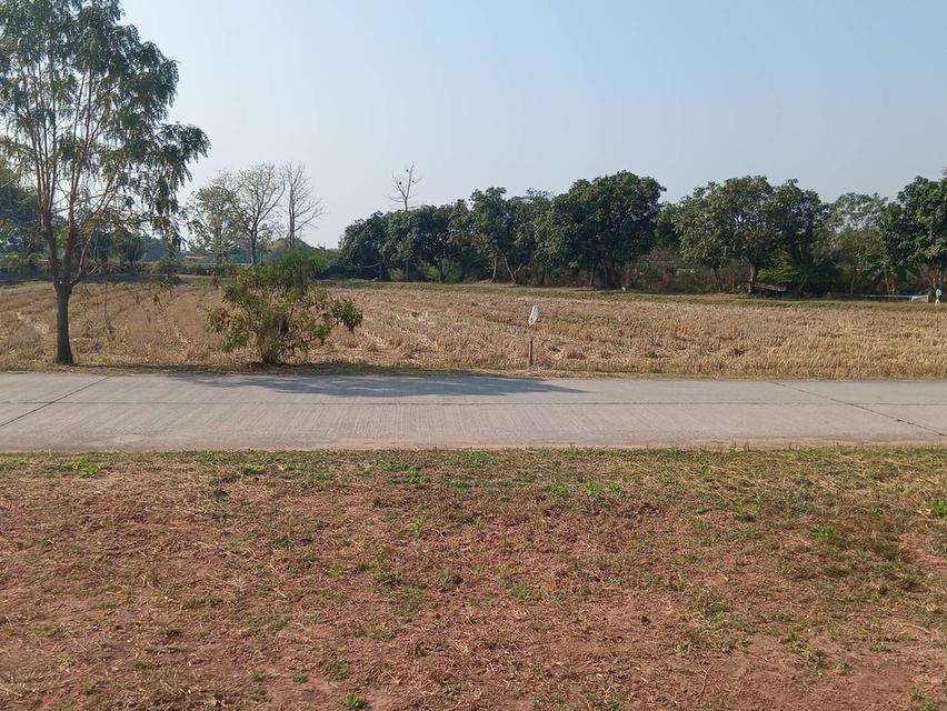 ขายที่ดิน แบ่ง 3 แปลง เจ้าของขายเอง 91 ตารางวา ขอนแก่น 7